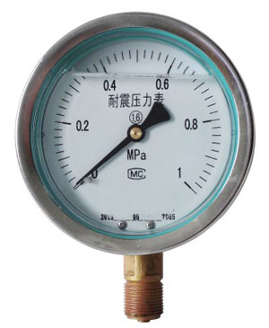 Yn shock proof pressure gauge